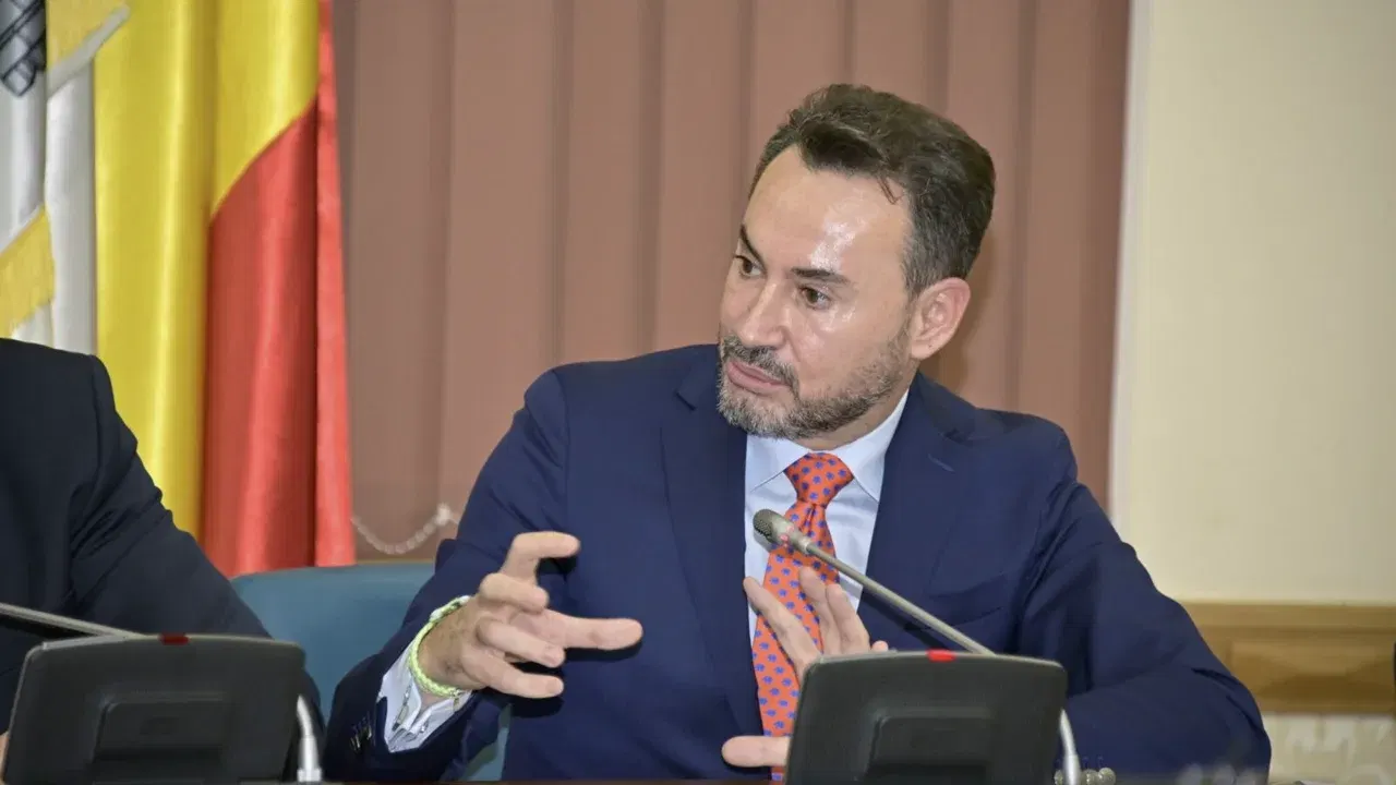 Gheorghe Falcă vorbește la o ședință, cu drapelul României în spate
