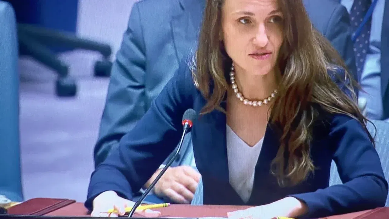 Oana Țoiu, ministrul interimar de Externe, la masa României într-o reuniune internațională